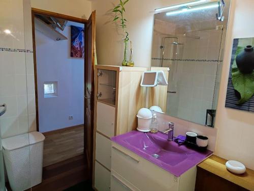 La salle de bains est pourvue d'un lavabo violet et d'une douche. dans l'établissement Le logis d'Hélène, à Selongey
