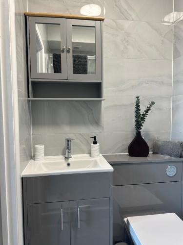 a bathroom with a sink and a toilet at New apartment 2 in Brentford