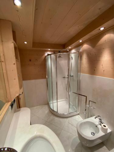 a bathroom with a shower and a toilet and a sink at Villa Zubiana in Cortina dʼAmpezzo