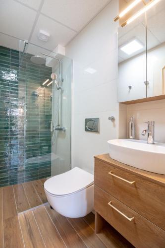 a bathroom with a toilet and a sink and a shower at Villa Elena - Dolni Saraj in Ohrid