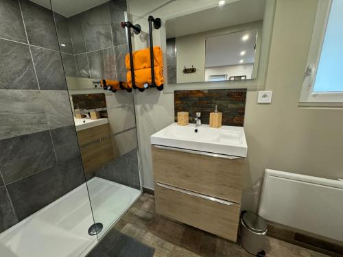 a bathroom with a shower and a sink at Gîte chez carline classé meublés du tourisme 3 étoiles in Fultot