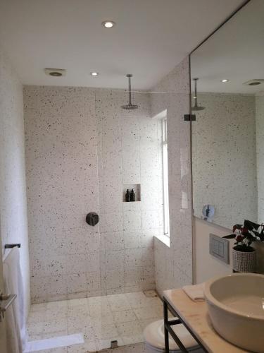 a bathroom with a shower and a sink at Cape Standard Guest House in Cape Town