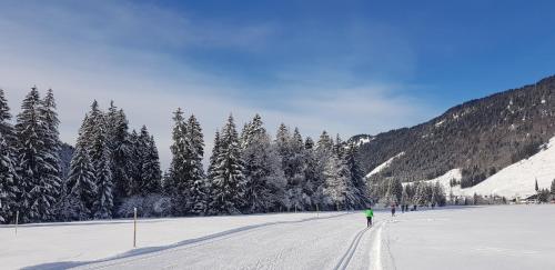 a group of people skiing down a snow covered slope at Ariana in Balderschwang