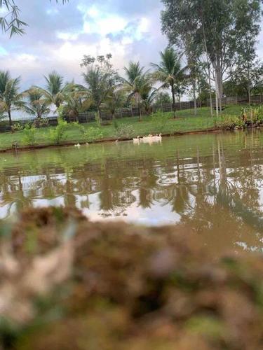 Landskap semula jadi dekat dengan rumah percutian