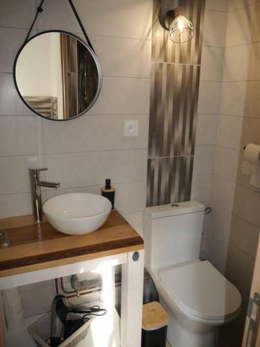 une salle de bain avec un lavabo, des toilettes et un miroir dans l'établissement Eloie'gnez-vous au fil de l'eau, à Sermamagny