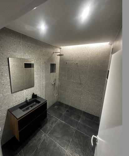 une salle de bain avec un lavabo, une douche et un miroir dans l'établissement Chambre - Grenoble, Caserne de Bonne, à Grenoble