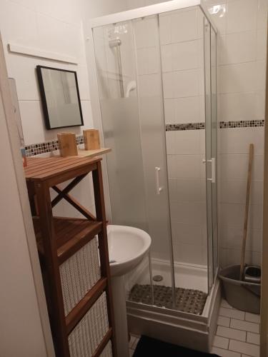 a bathroom with a glass shower and a sink at Studio rez-de-chaussée in Bougival