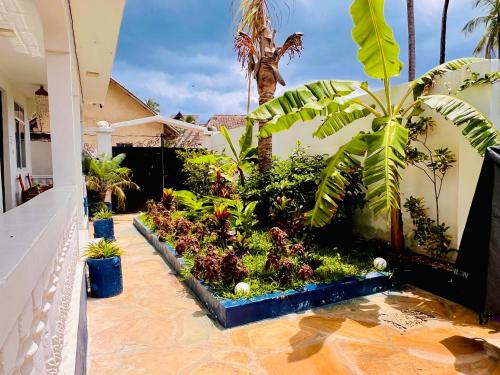 a garden with a pond in a house at Nungwi Beach Front in Nungwi