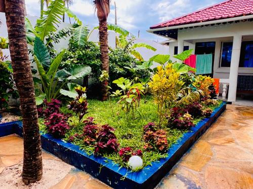 a garden in front of a house with palm trees at Nungwi Beach Front in Nungwi