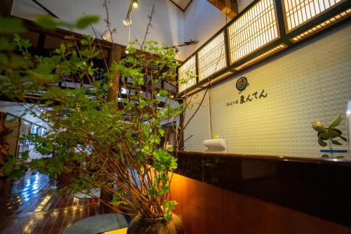 a room with a potted plant on the counter at Jomon no Yado Manten in Yakushima