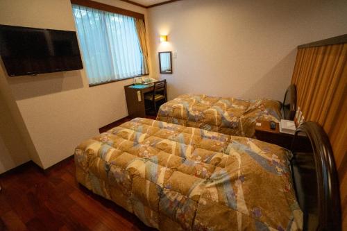 a hotel room with two beds and a television at Jomon no Yado Manten in Yakushima