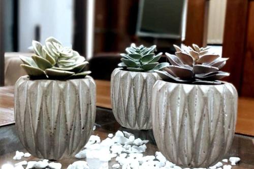 two white vases with plants in them on a table at Amplio dpto de 2 dorm y balcón Como en Casa-Scz in El Pary