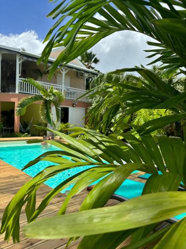 Πισίνα στο ή κοντά στο Le Petit Havre Tropical Guadeloupe, Gite, Massages & Spa