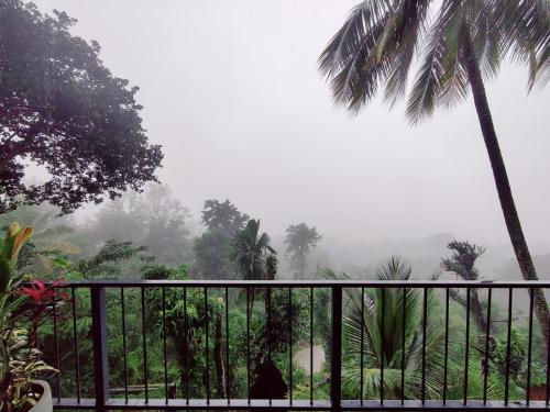 a misty view of a jungle with palm trees at Sara's Grove Boutique Bungalow in Haputale