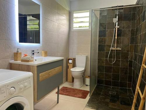 ein Badezimmer mit Dusche, Toilette und Waschbecken in der Unterkunft La Pause Fraicheur du Nord - 1 à 6 Personnes - Martinique in Basse-Pointe