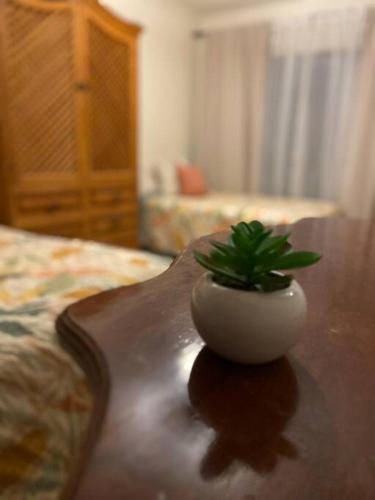 a plant in a white vase sitting on a wooden table at CasaNinos, casa de la gente buena in Aguascalientes