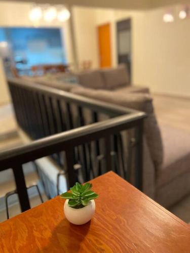 a small plant sitting on top of a wooden table at CasaNinos, casa de la gente buena in Aguascalientes