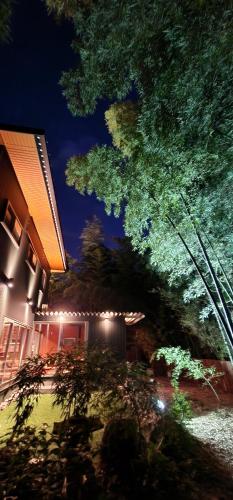 a building with a tree in front of it at night at あかがね荘別邸 in Sumino