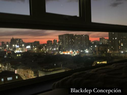 Γενική άποψη της πόλης Κονσεπσιόν ή θέα της πόλης από  αυτό το διαμέρισμα