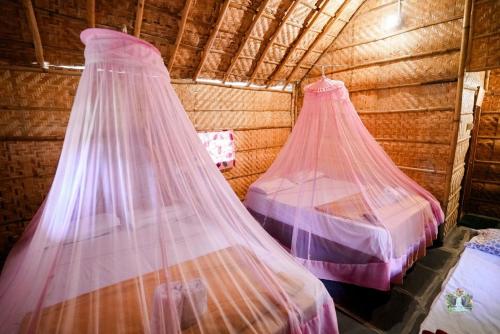 two beds with mosquito nets in a room at Hampi Waterfall Cottages in Hampi
