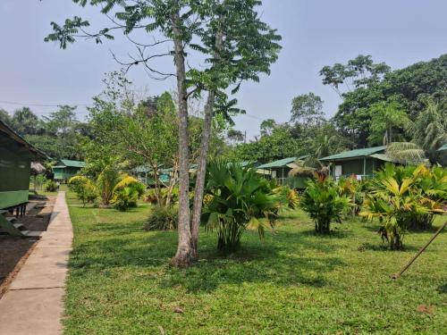 a path through a park with trees and houses at Huasai tours & lodge in Iquitos
