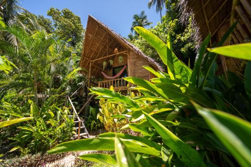 a house in the jungle with green plants at Bamboo Bay Eco Resort in Srithanu
