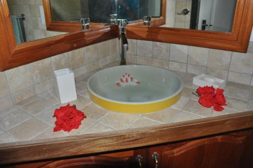 a sink in a bathroom with red flowers on a counter at La Bel Zilwaz Guesthouse in La Digue