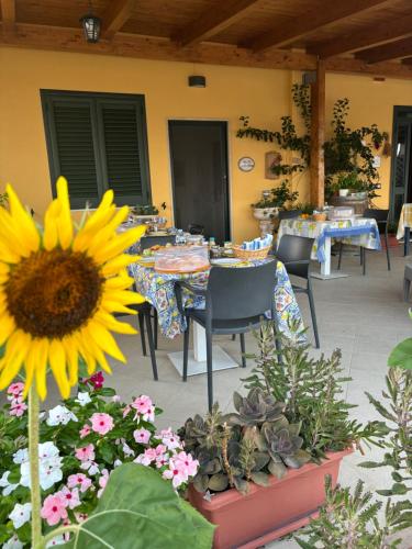 a patio with a table and a sunflower on it at B&B CASA MARTINA in Giungano