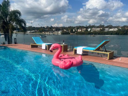 a swimming pool with a pink flamingo in the water at Chiswick Waterfront Retreat in Sydney