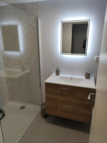 une salle de bain avec un lavabo, un miroir et une douche dans l'établissement Le sceycolais Appartement spacieux avec terrasse, à Scey-sur-Saône-et-Saint-Albin