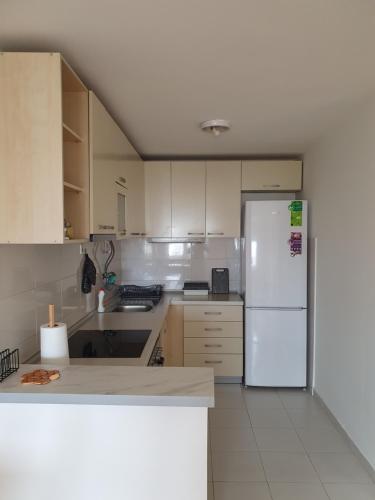 Virtuvė arba virtuvėlė apgyvendinimo įstaigoje Marija's Apartment