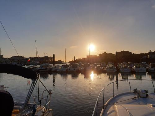 a group of boats docked in a harbor at sunset at Insolite in Capbreton