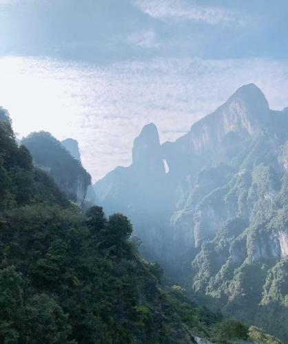 a misty mountain valley with trees and mountains at Just waiting for you-Tianmen mountαin-English reception-Book ticket service in Zhangjiajie