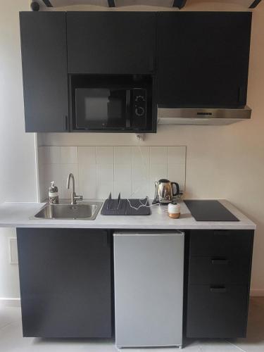 a kitchen with a sink and a microwave at Charming Duplex in Le Vésinet