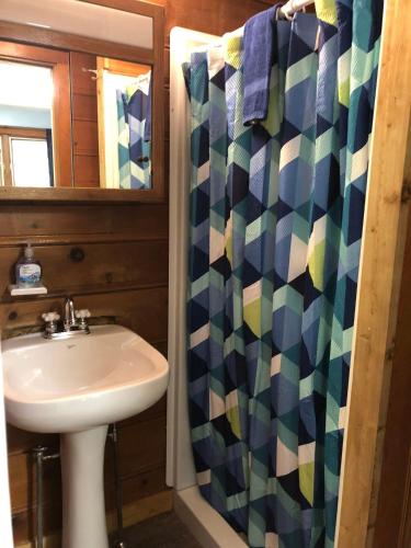 a bathroom with a sink and a shower curtain at Steffen's Cedar Lodge in Washington Island