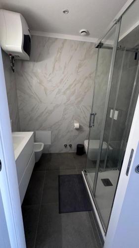 a bathroom with a shower and a sink and a toilet at Monolocale Ovidio in Milan