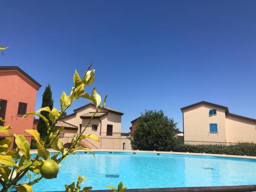 - une piscine en face de certaines maisons dans l'établissement Lozarifamily, à Belgodère