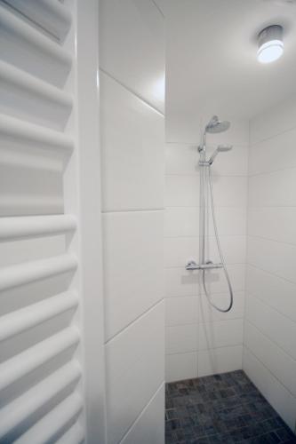 a bathroom with a shower with white walls at Haart & Soul Guesthouse in Piesport