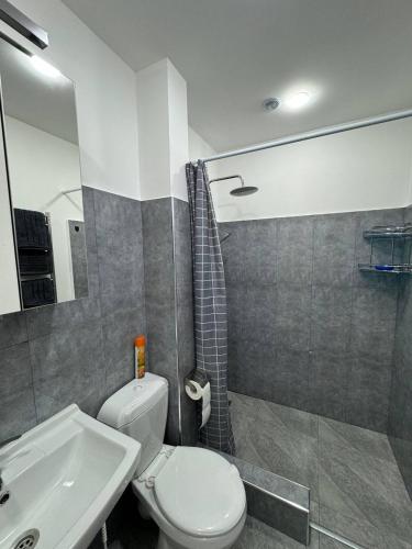 a bathroom with a white toilet and a sink at Basalt Appartements Gyumri in Gyumri
