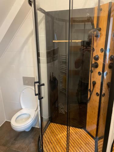 une cabine de douche avec toilettes dans une salle de bain dans l'établissement Villa Ô appartement, à Chasnay