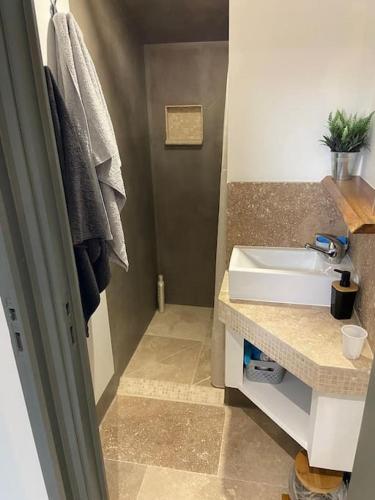 La salle de bains est pourvue d'un lavabo et d'un comptoir. dans l'établissement Maison de charme, à Lapalud