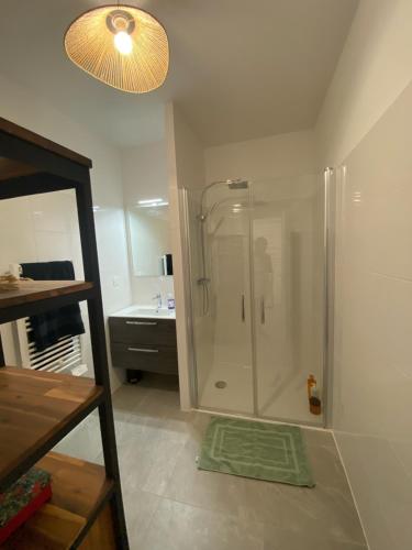 une salle de bain avec une douche avec un lavabo et un miroir dans l'établissement Très beau F2 neuf 50 M2 , grande terrasse 30 M2, très bien situé, à Narbonne