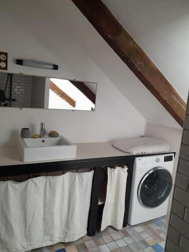une salle de bain avec une machine à laver et un lavabo dans l'établissement Maison La Roche Quihanet, à Landéhen