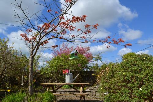 a picnic table in a park with a bird house at Wild Honey Inn in Lisdoonvarna