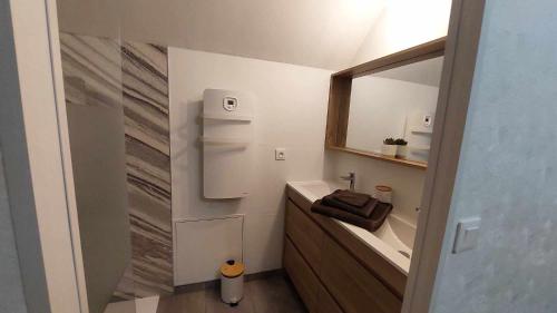 une petite salle de bain avec un lavabo et un miroir dans l'établissement Gîte Elendil - Esprit Champêtre, à Chambon