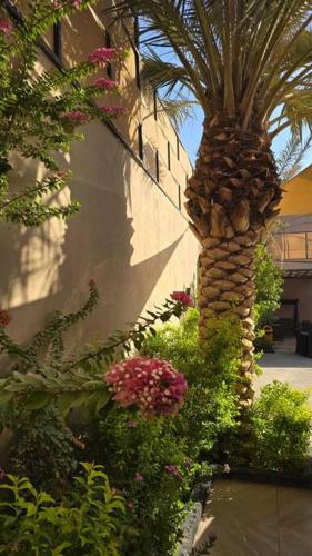 a palm tree with flowers next to a building at Jumeirah Chalet جميرا شاليه in Amman