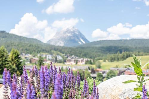 a field of purple flowers with a mountain in the background at GOTTHARD - FINE LIVING APARTMENTS in Seefeld in Tirol