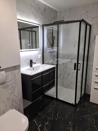 une salle de bain avec douche et lavabo dans l'établissement loft notre dame annecy, à Annecy