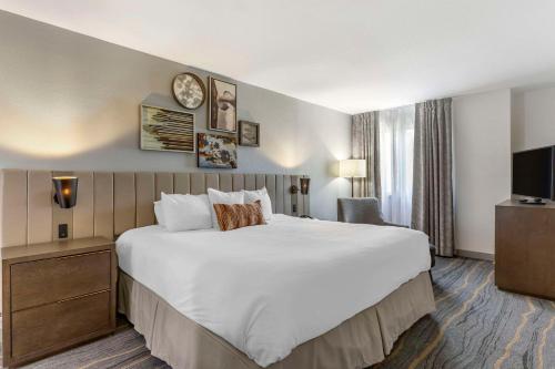 Katil atau katil-katil dalam bilik di Windmill Suites Surprise - Phoenix, an Ascend Collection Hotel