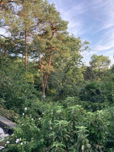a group of trees and plants in a field at COUETTE et CAFÉ L'AGENCE in Boutigny-sur-Essonnes